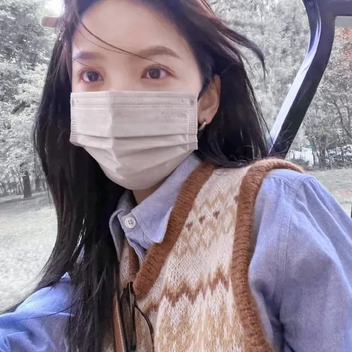 树篱女巫